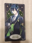 Arcana Disney Twisted Wonderland Malleus Draconia